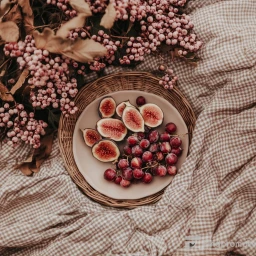 Bohemian Picnic Photography